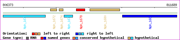 gene map