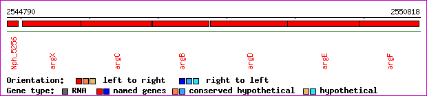 gene map