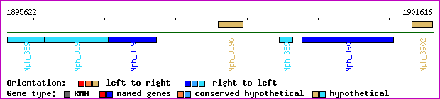 gene map