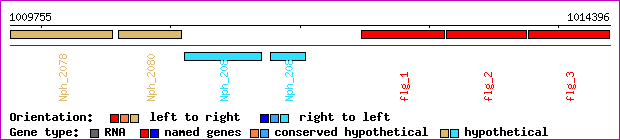 gene map