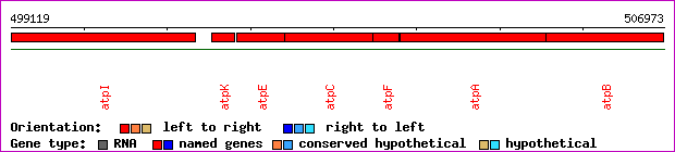 gene map