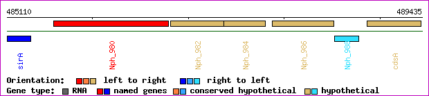 gene map