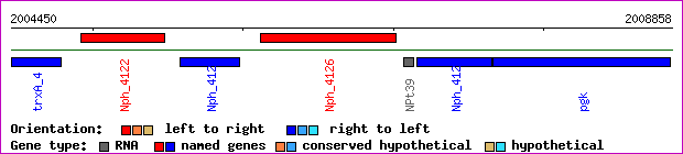 gene map