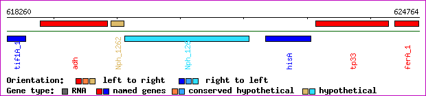gene map