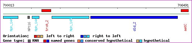 gene map