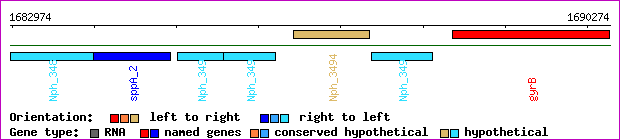 gene map
