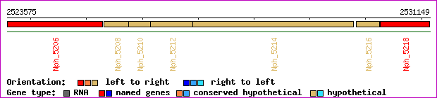 gene map