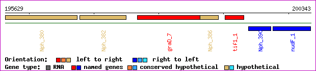gene map