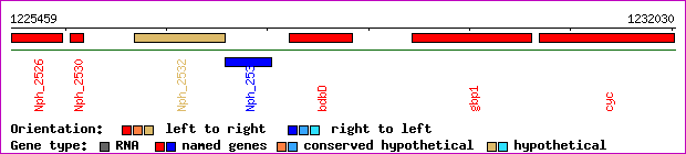gene map