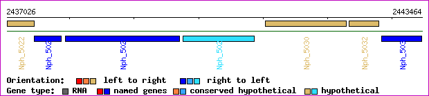gene map