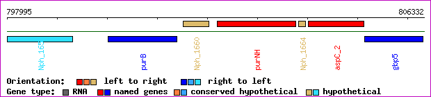 gene map