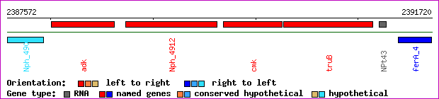 gene map
