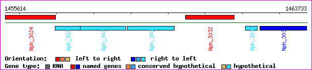 gene map