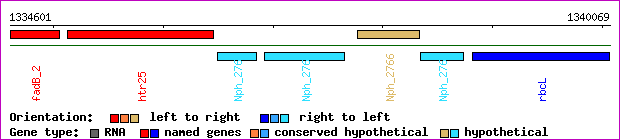gene map