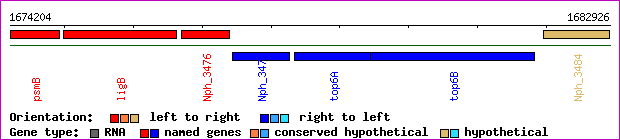 gene map