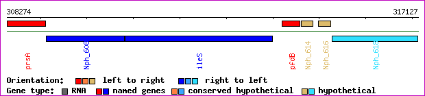 gene map