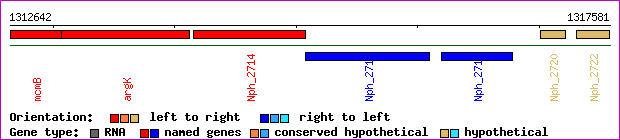 gene map