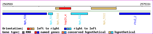 gene map