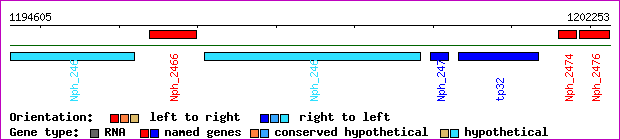 gene map