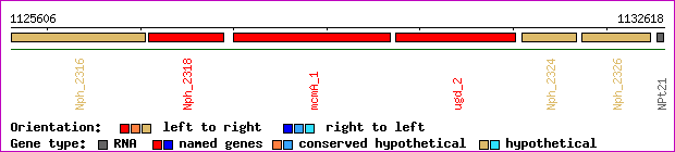 gene map
