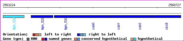 gene map