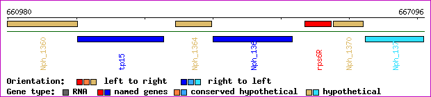 gene map