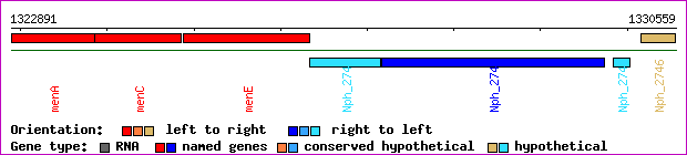 gene map