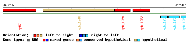 gene map