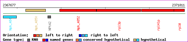gene map