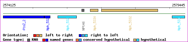 gene map