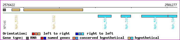 gene map