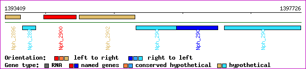 gene map