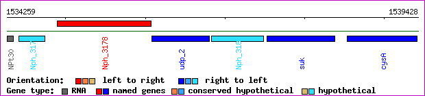 gene map