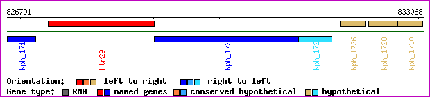 gene map