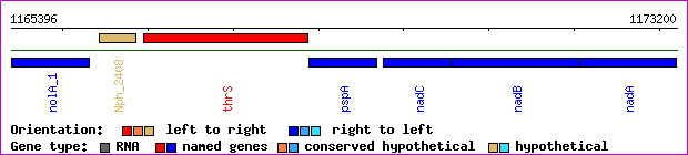 gene map