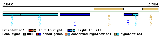 gene map