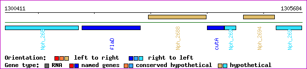 gene map