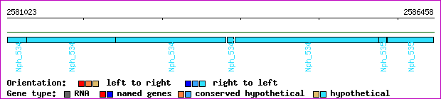 gene map