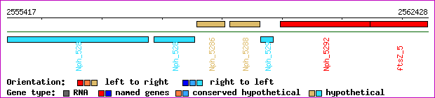 gene map