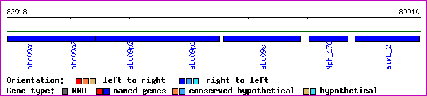 gene map