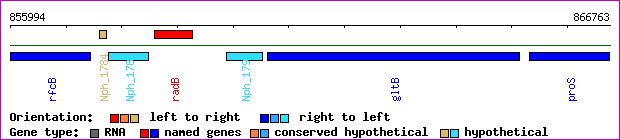 gene map