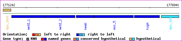 gene map