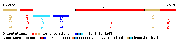 gene map