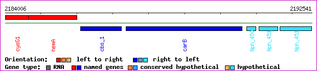 gene map