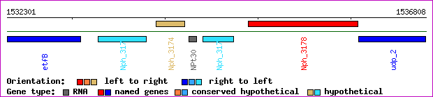 gene map