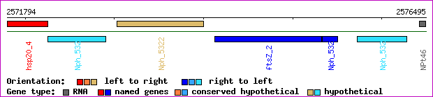 gene map