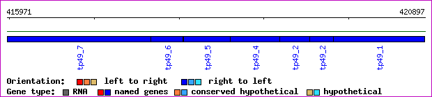 gene map