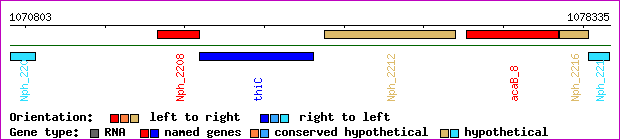 gene map