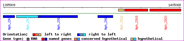 gene map