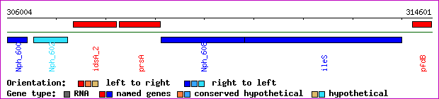 gene map